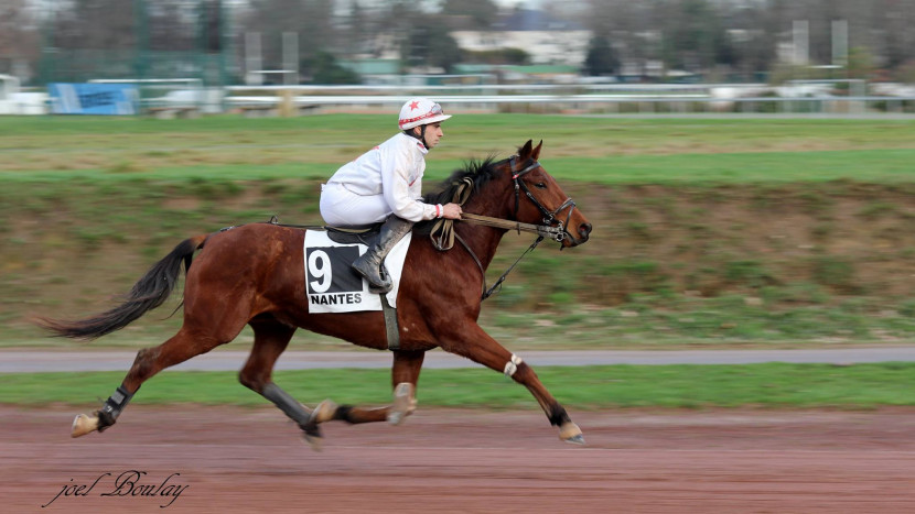 Trot monté - Hippodrome de Nantes